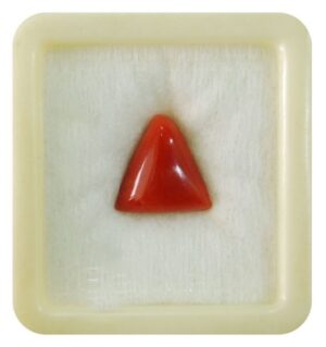 Red coral (moonga) (italian) (tri)